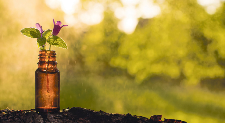 Bild Bericht Inselzeitung Mallorca