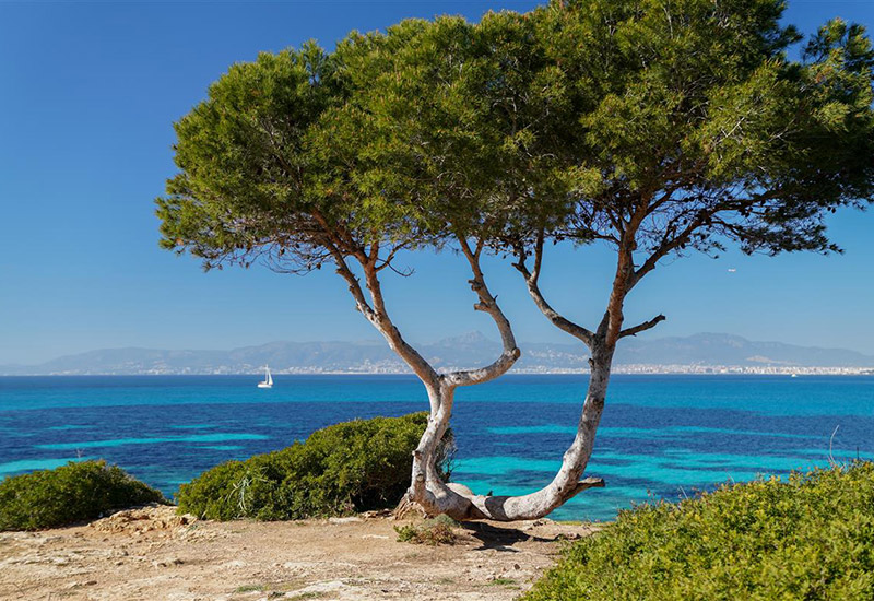 Mallorca Landschaft